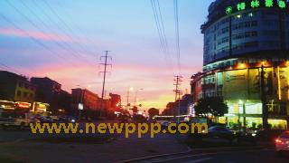 SHPDV-019