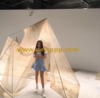 SHPDV-025