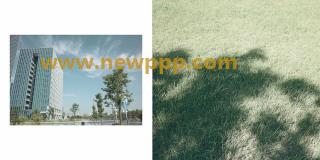 SPS-021