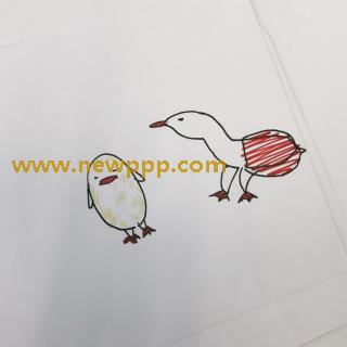 STARG-005