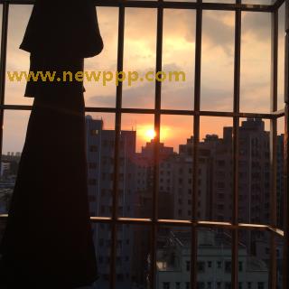 SUGAD-021