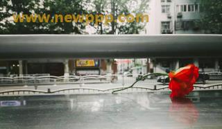 SWD-037