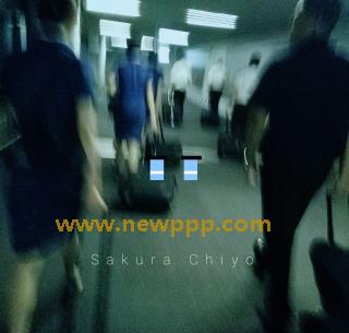 SWD-091