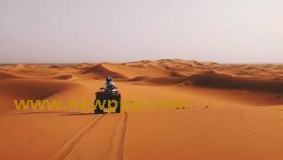 SWF-117