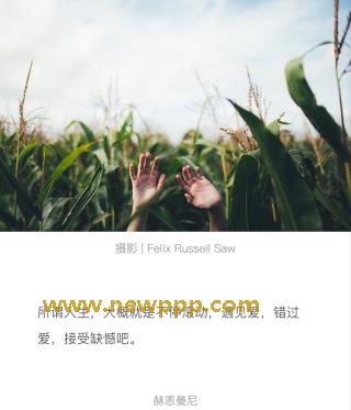 SWF-118