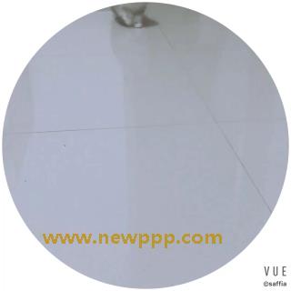 SWS-006