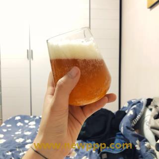 SWSG-002