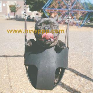 SXVD-053