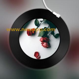 SY-020