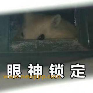 TCD-005