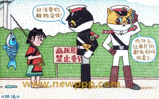 TMAT-031