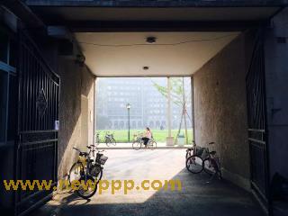 TMGP-006