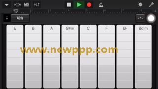 TNSD-004