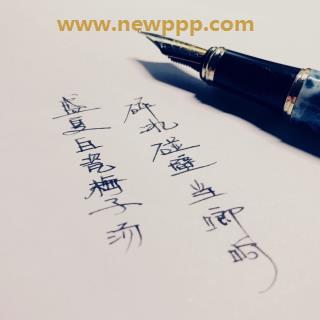 TWV-081