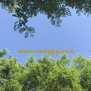 VGD-078