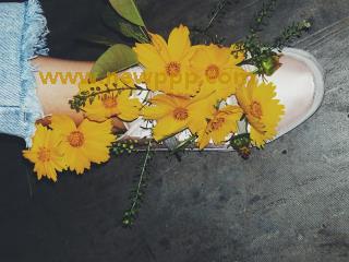 VIKG-018