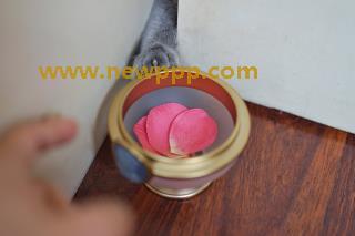 VN-095