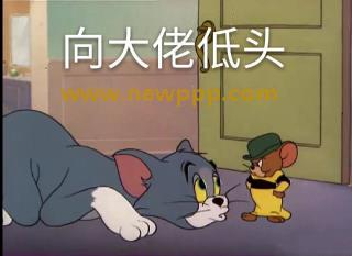 WAN-027