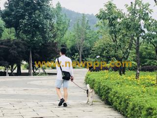 WAV-052
