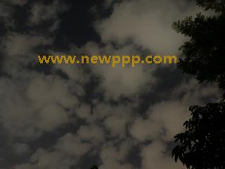 WENT-045