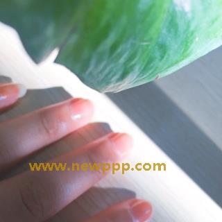 WSP-038