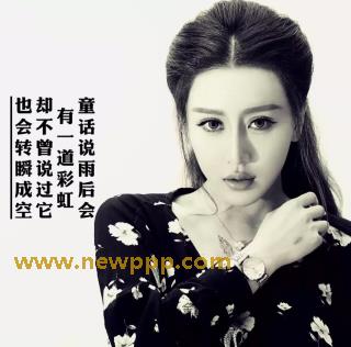 WSP-094