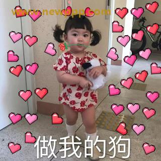 YAT-006