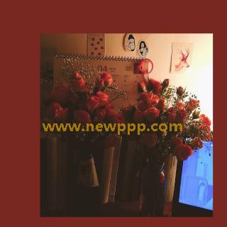 YPD-002