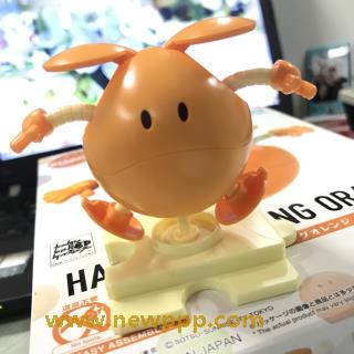 ZZ-066